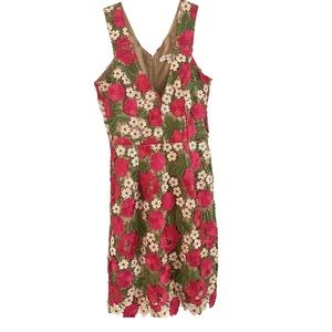 Dress The Population Fuchsia Crochet Dress